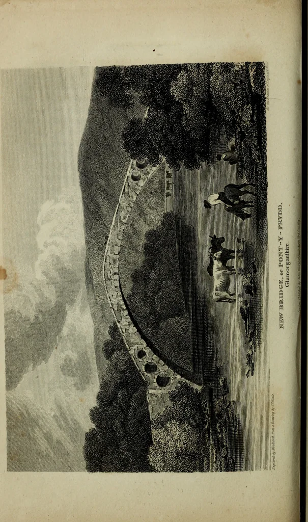 An illustration from The beauties of England and Wales, or, Delineations, topographical, historical, and descriptive, of each county, 1801, leaf 687