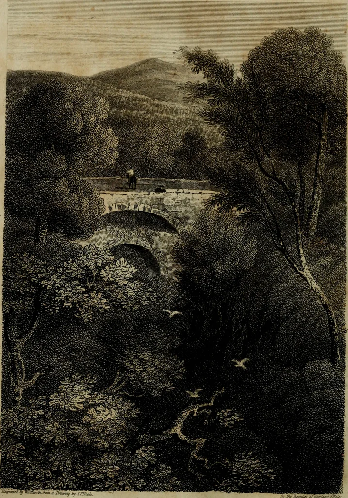 An illustration from The beauties of England and Wales, or, Delineations, topographical, historical, and descriptive, of each county, 1801, leaf 7