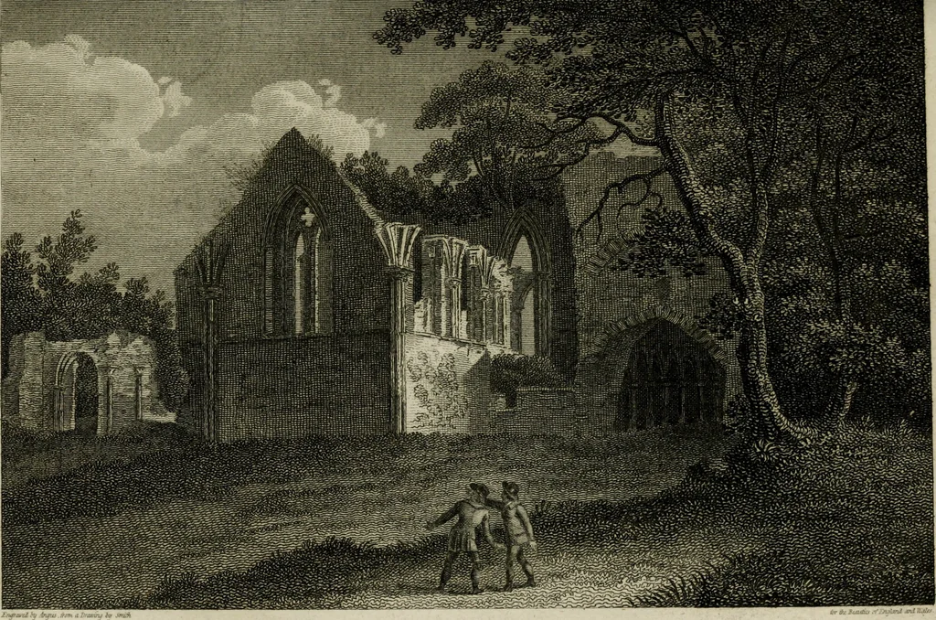 An illustration from The beauties of England and Wales, or, Delineations, topographical, historical, and descriptive, of each county, 1801, leaf 754