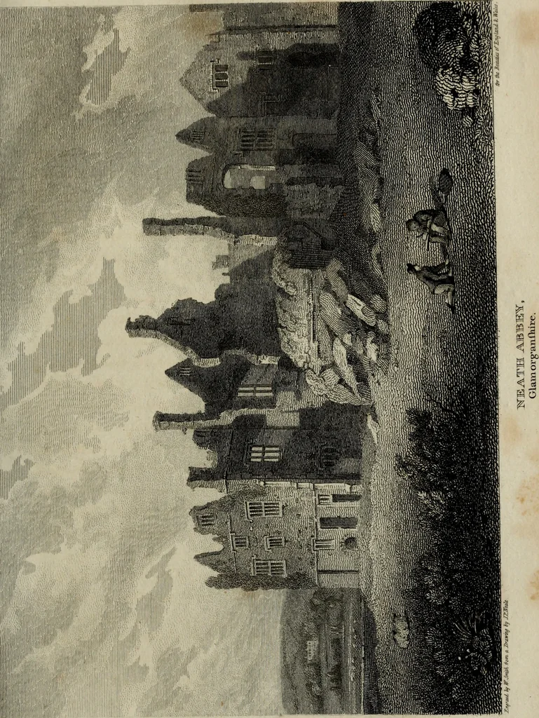 An illustration from The beauties of England and Wales, or, Delineations, topographical, historical, and descriptive, of each county, 1801, leaf 774