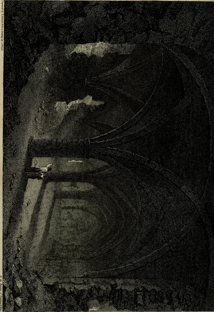An illustration from The beauties of England and Wales, or, Delineations, topographical, historical, and descriptive, of each county, 1801, leaf 777
