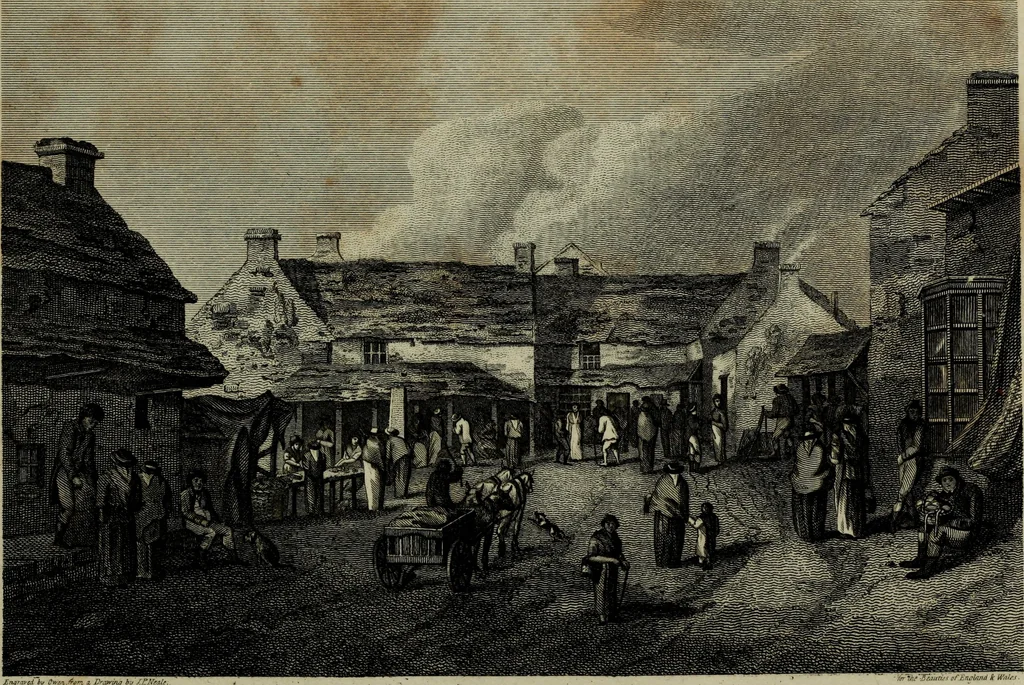 An illustration from The beauties of England and Wales, or, Delineations, topographical, historical, and descriptive, of each county, 1801, leaf 827
