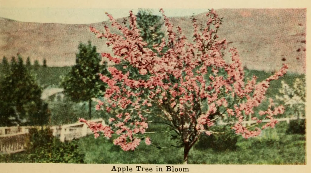An illustration from Beautiful Columbia Gardens : the far-famed pleasure resort of Butte, leaf 31