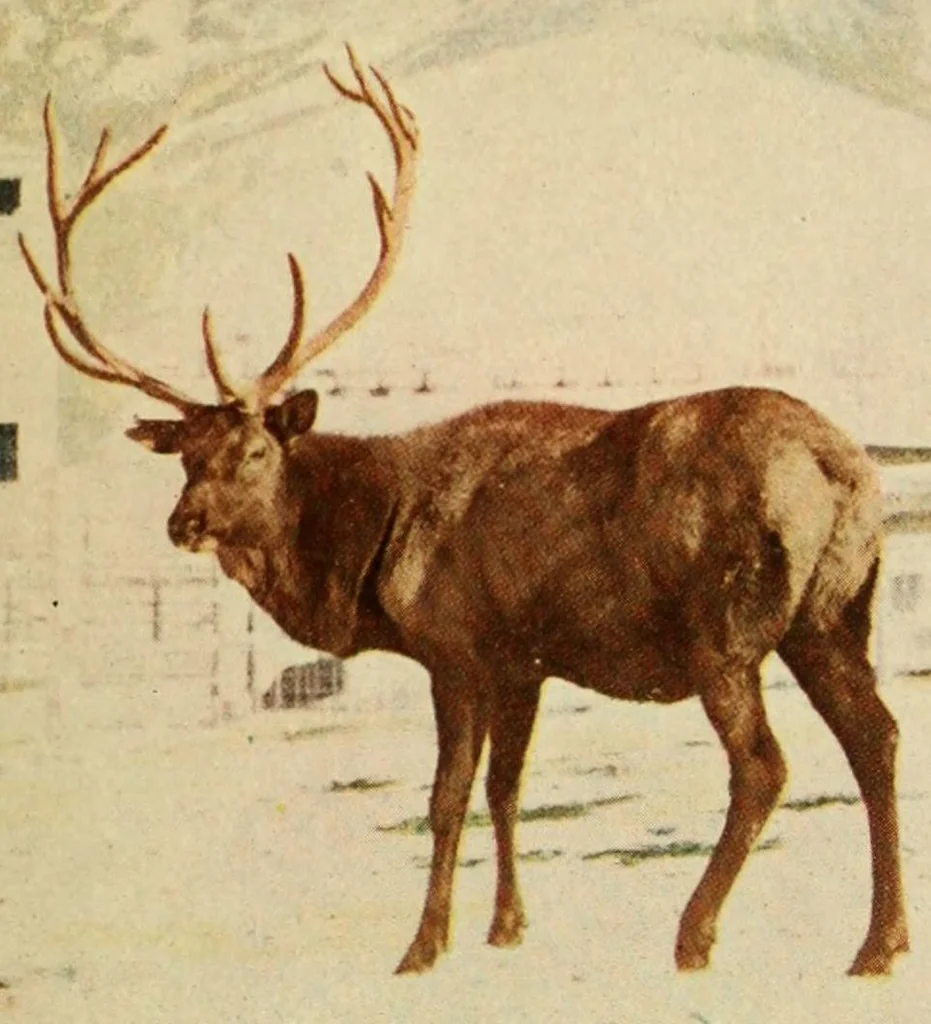 An illustration from Beautiful Columbia Gardens : the far-famed pleasure resort of Butte, leaf 35