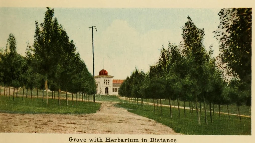 An illustration from Beautiful Columbia Gardens : the far-famed pleasure resort of Butte, leaf 41
