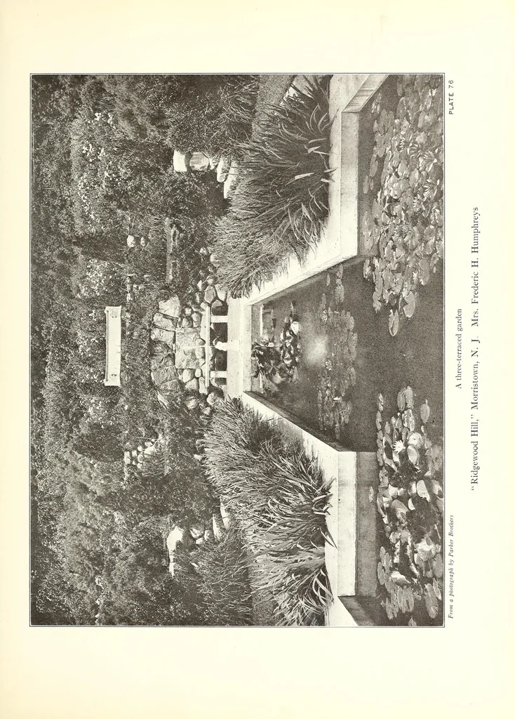 An illustration from Beautiful gardens in America, 1916, leaf 205