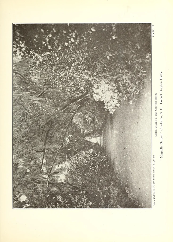 An illustration from Beautiful gardens in America, 1916, leaf 285