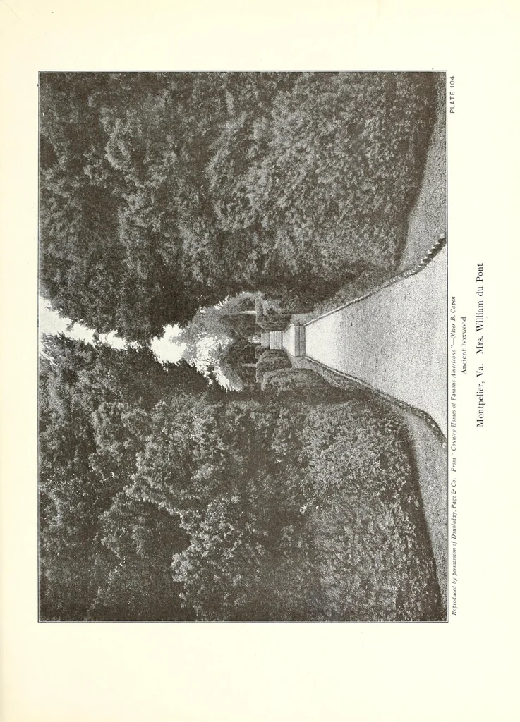 An illustration from Beautiful gardens in America, 1915, leaf 267