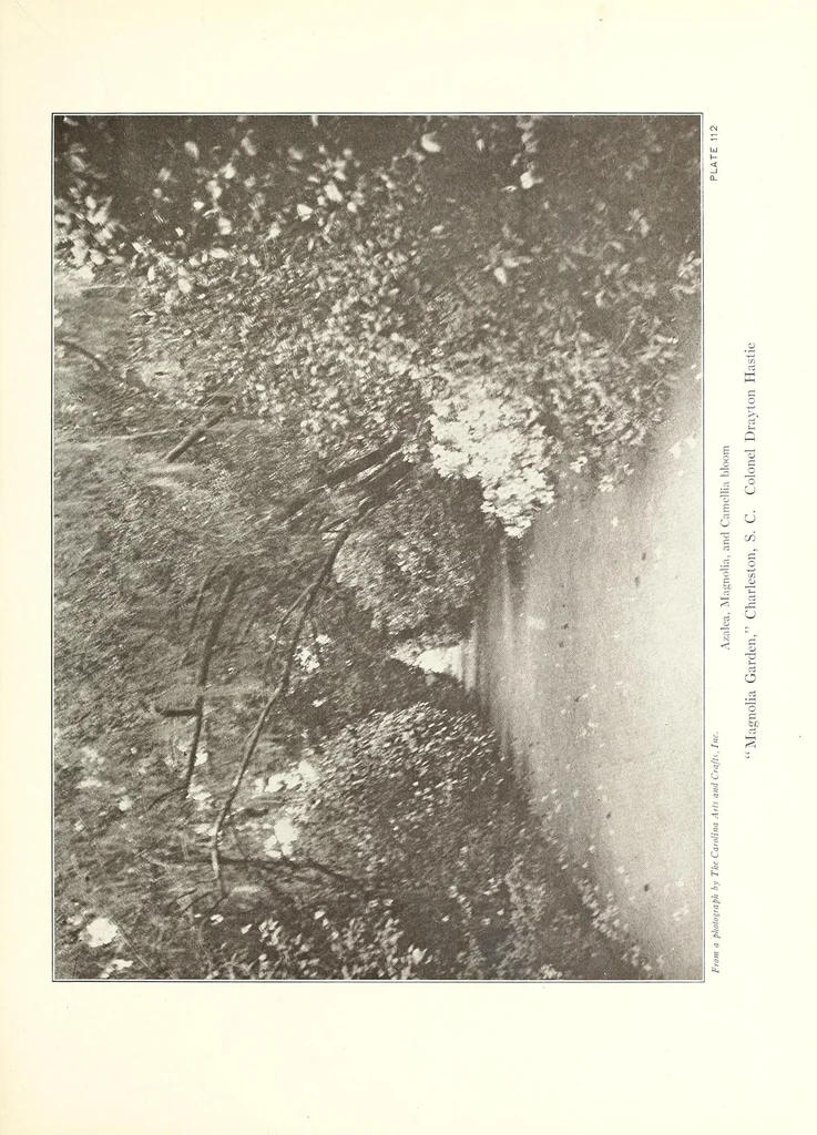 An illustration from Beautiful gardens in America, 1915, leaf 283
