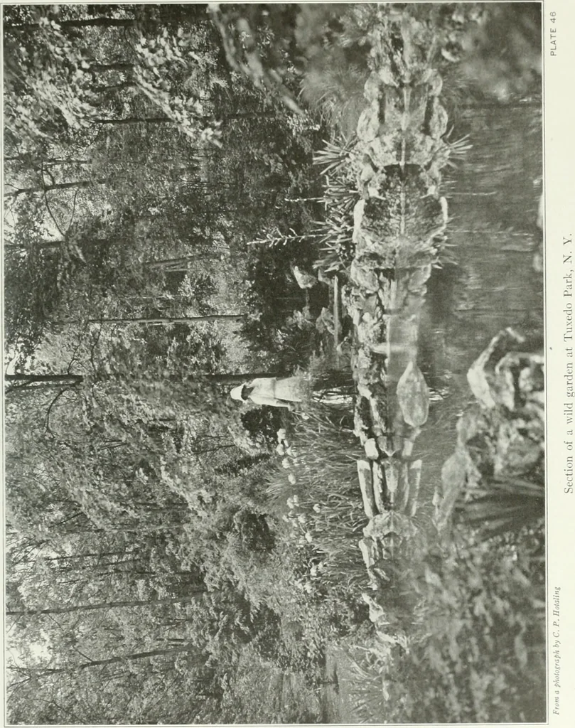 An illustration from Beautiful gardens in America, 1915, leaf 136