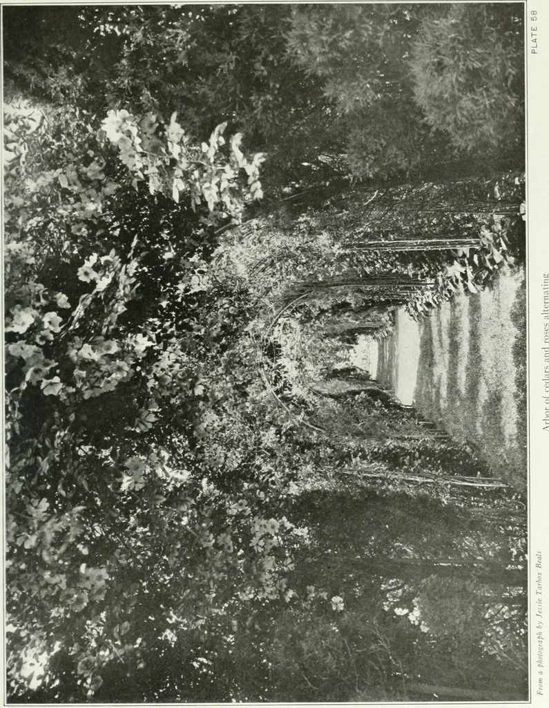 An illustration from Beautiful gardens in America, 1915, leaf 160