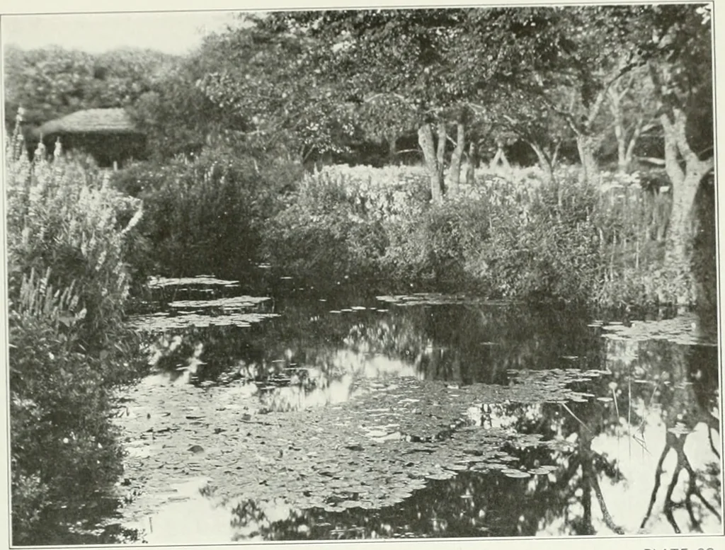 An illustration from Beautiful gardens in America, 1915, leaf 176