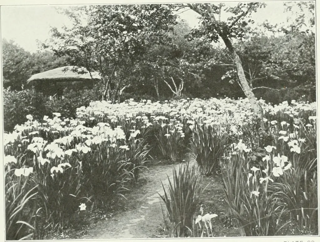 An illustration from Beautiful gardens in America, 1915, leaf 176