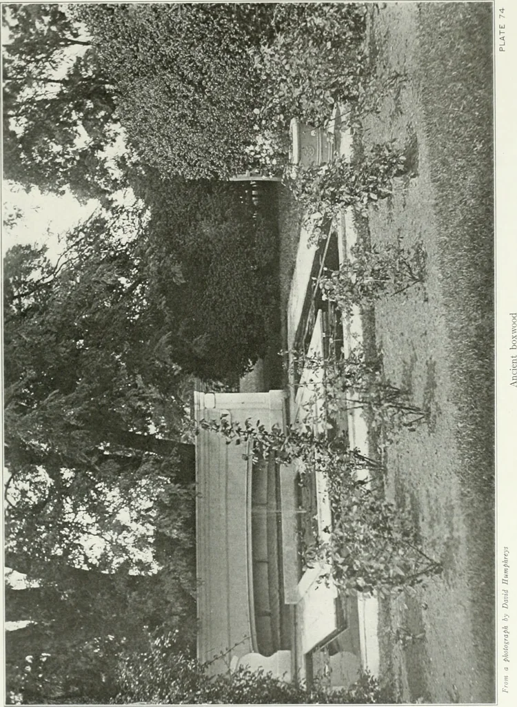 An illustration from Beautiful gardens in America, 1915, leaf 182