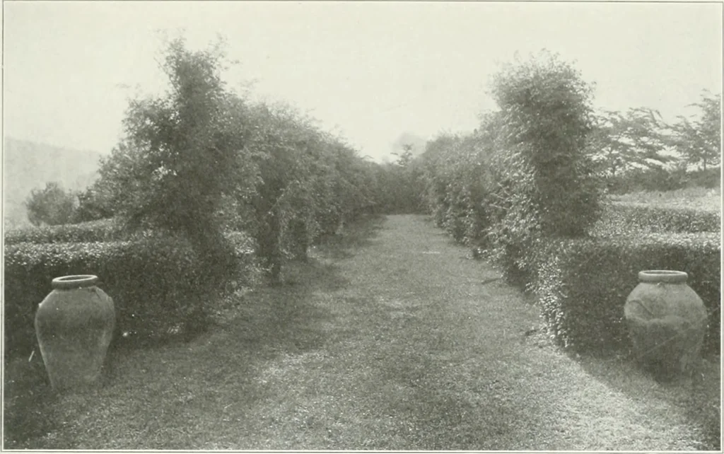 An illustration from Beautiful gardens in America, 1915, leaf 228