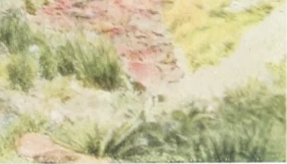 An illustration from Beautiful gardens in America, 1915, leaf 242