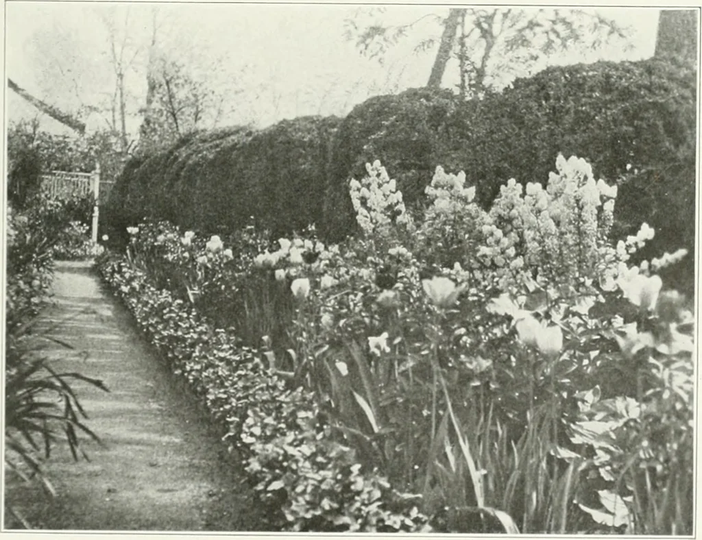 An illustration from Beautiful gardens in America, 1915, leaf 250