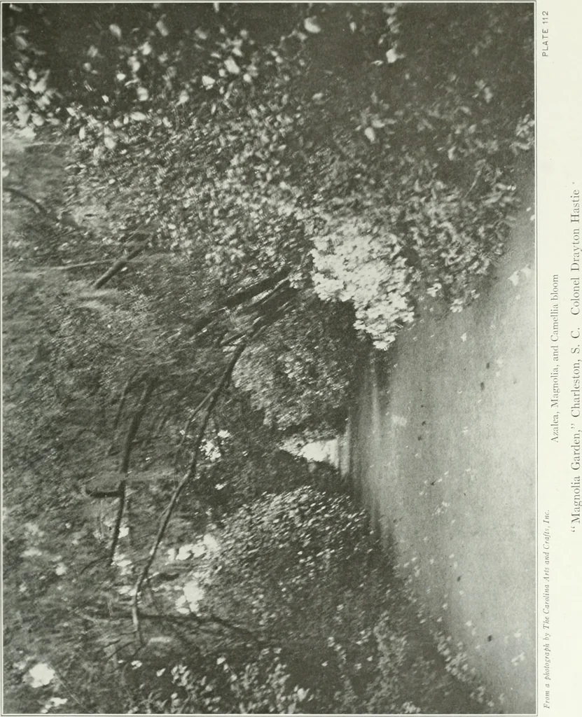 An illustration from Beautiful gardens in America, 1915, leaf 272