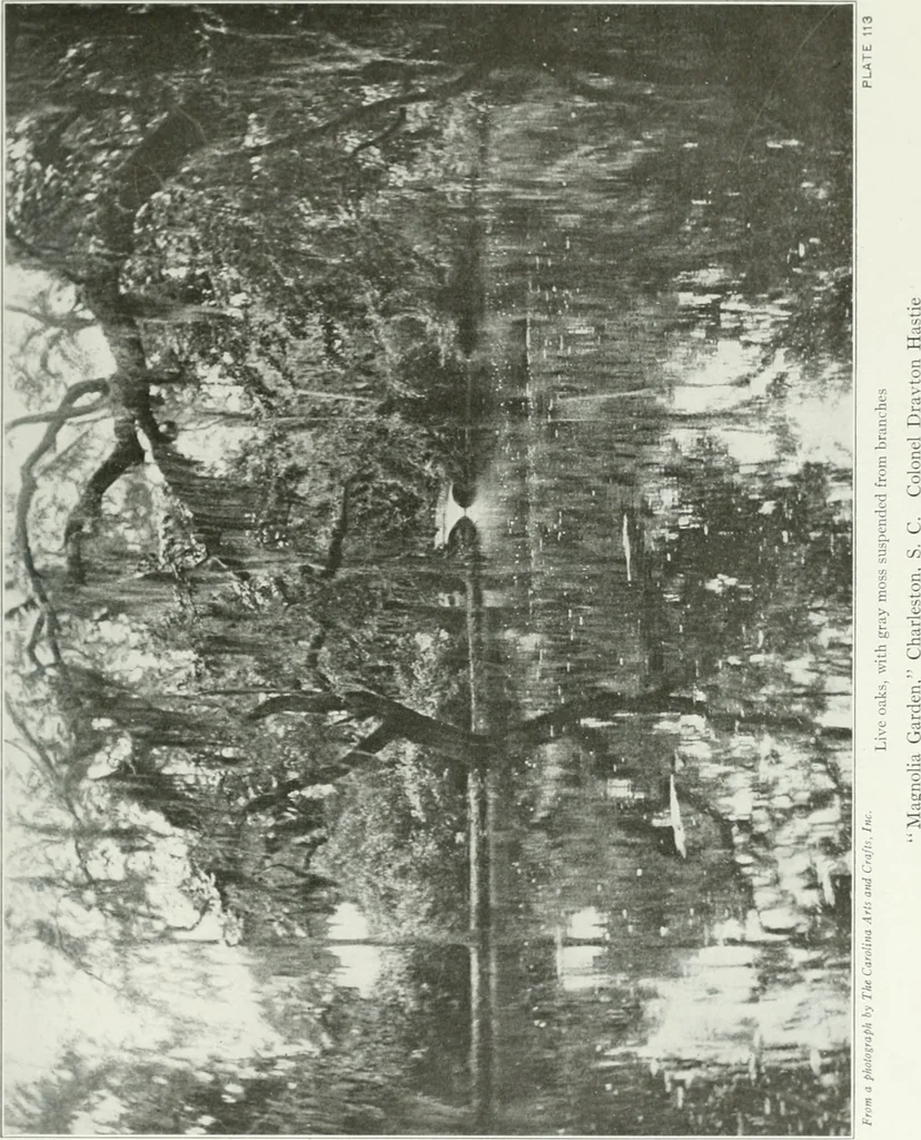 An illustration from Beautiful gardens in America, 1915, leaf 274