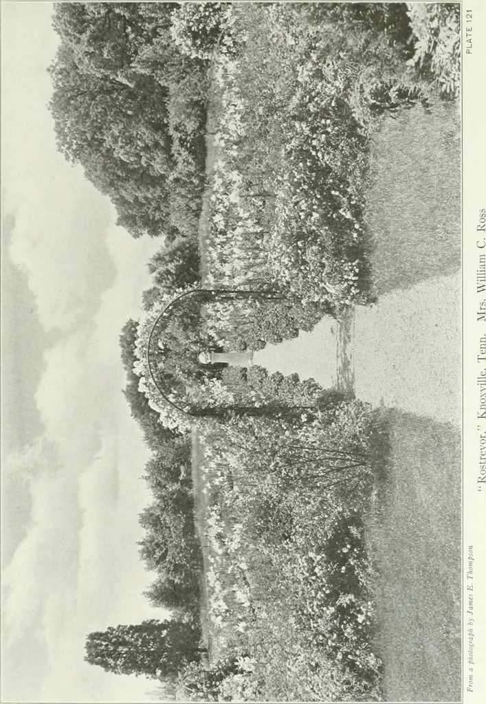 An illustration from Beautiful gardens in America, 1915, leaf 292
