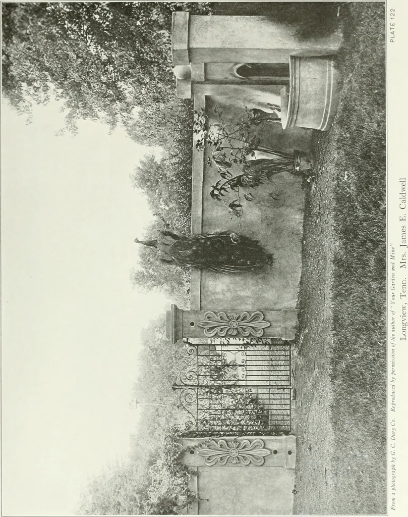 An illustration from Beautiful gardens in America, 1915, leaf 294