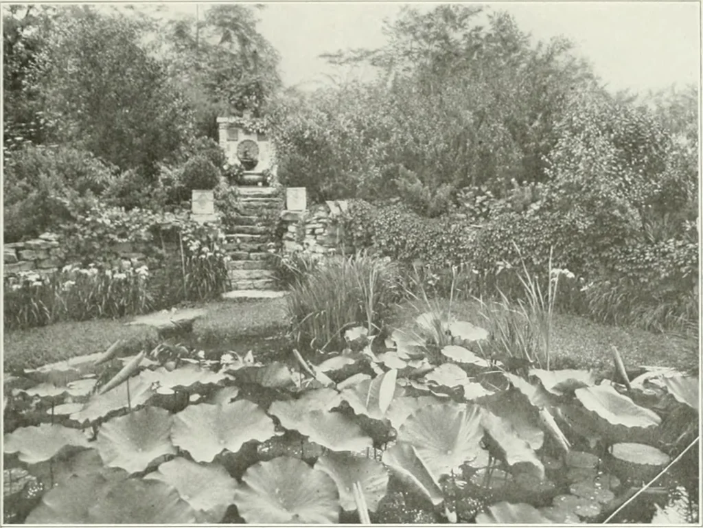An illustration from Beautiful gardens in America, 1915, leaf 316