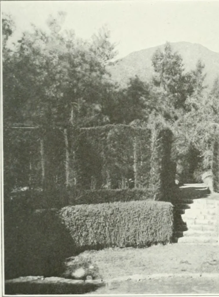 An illustration from Beautiful gardens in America, 1915, leaf 344
