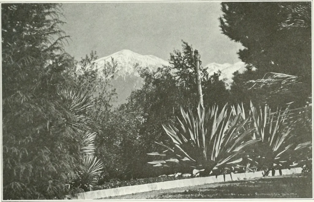 An illustration from Beautiful gardens in America, 1915, leaf 350