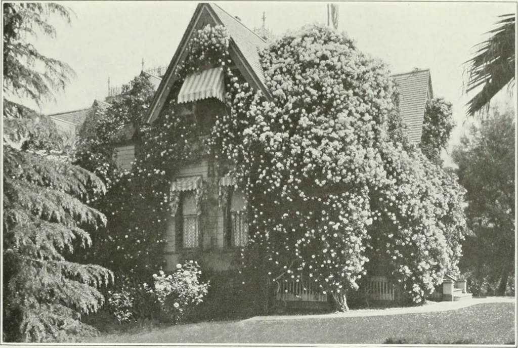 An illustration from Beautiful gardens in America, 1915, leaf 352