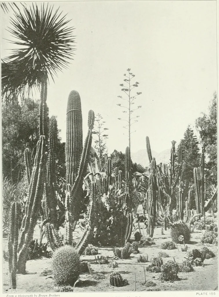An illustration from Beautiful gardens in America, 1915, leaf 354