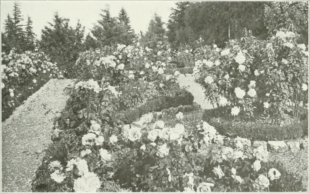 An illustration from Beautiful gardens in America, 1915, leaf 366