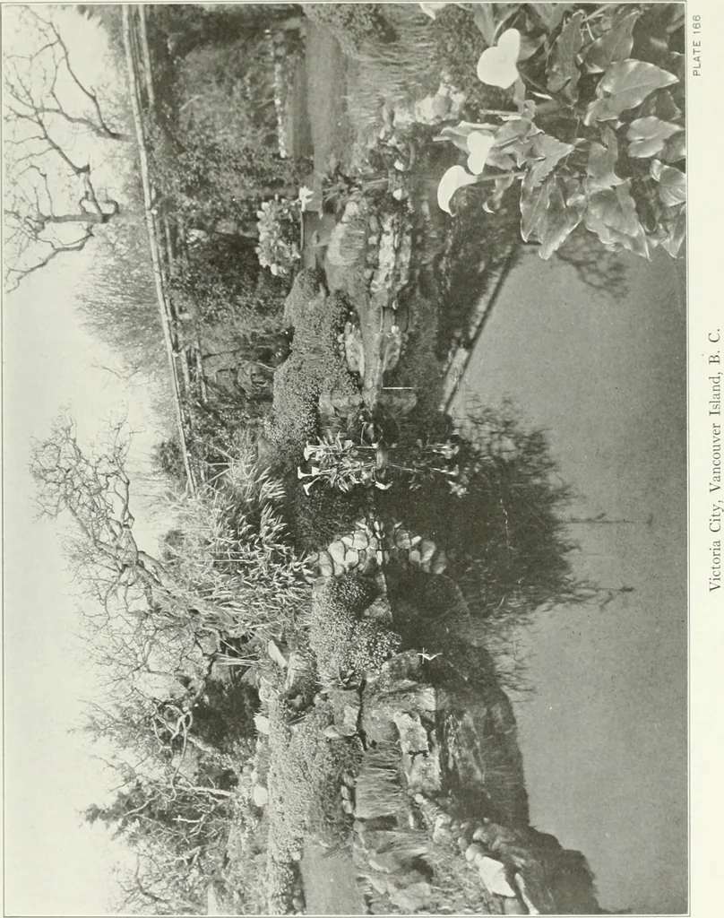 An illustration from Beautiful gardens in America, 1915, leaf 378