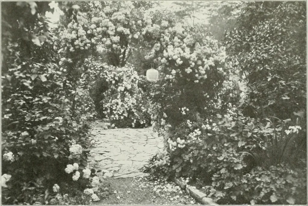 An illustration from Beautiful gardens in America, 1915, leaf 390