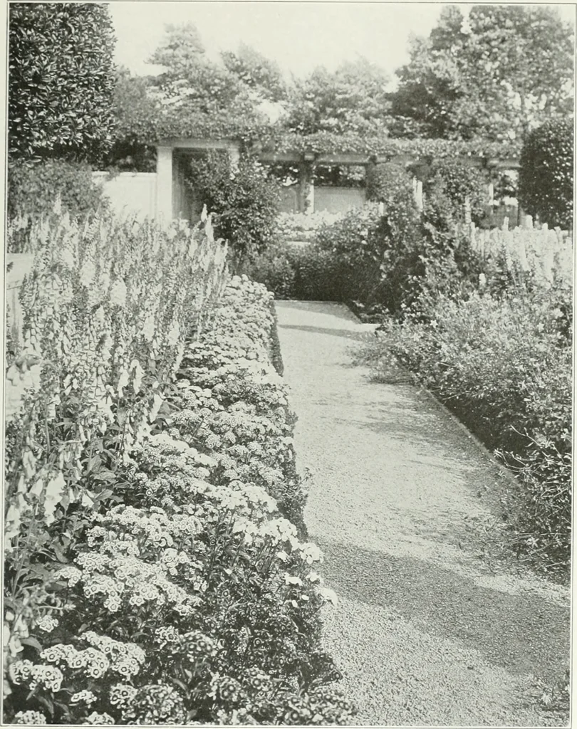 An illustration from Beautiful gardens in America, 1915, leaf 72