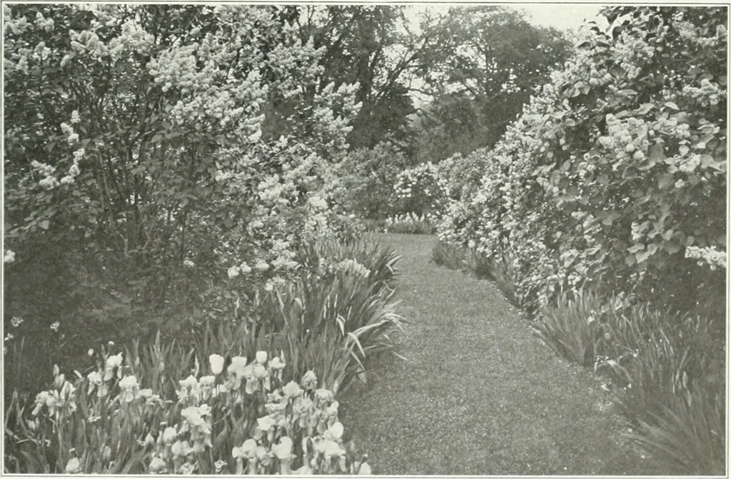 An illustration from Beautiful gardens in America, 1915, leaf 74