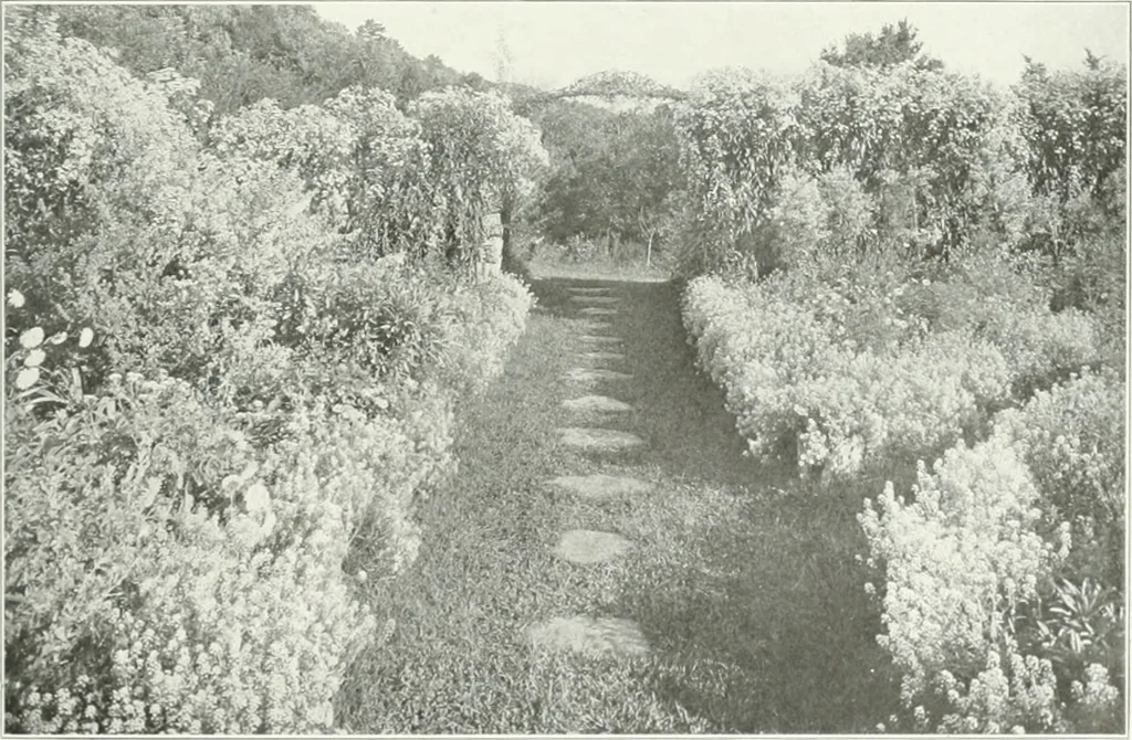 An illustration from Beautiful gardens in America, 1915, leaf 90