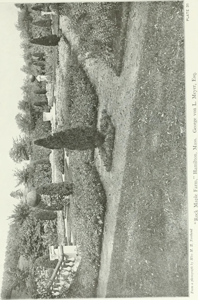 An illustration from Beautiful gardens in America, 1915, leaf 98