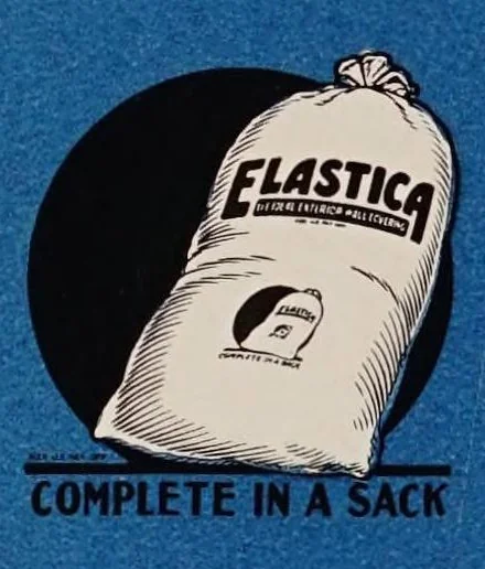 An illustration from A beautiful home : Elastica, the ideal wall covering : insures permanence, beauty, comfort and lower cost, 1924, leaf 12