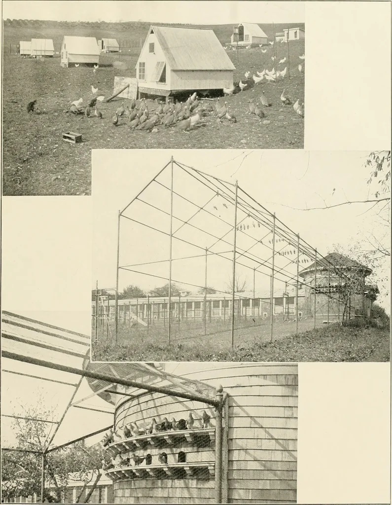 An illustration from Beautiful homes of Morris County and northern New Jersey : containing photographic reproductions ... with a brief description from colonial days to the present time, 1900, leaf 102
