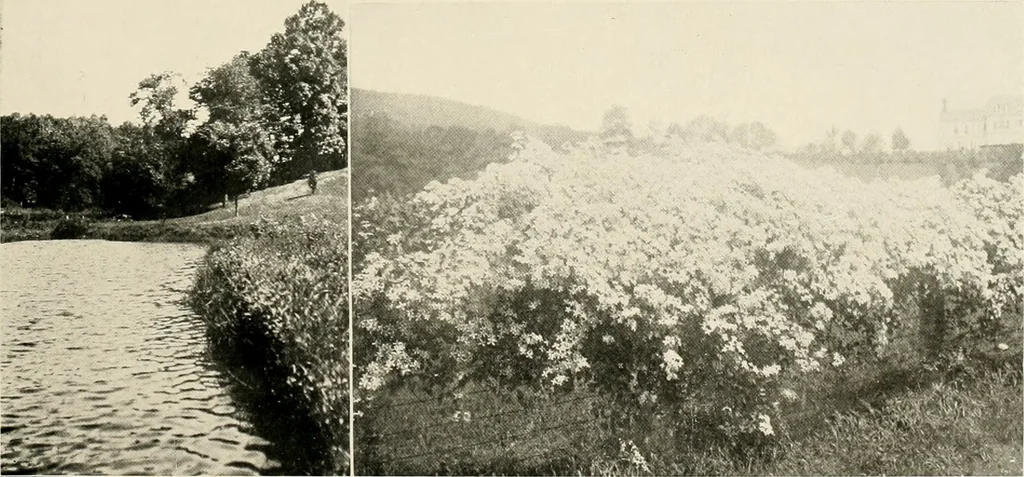 An illustration from Beautiful homes of Morris County and northern New Jersey : containing photographic reproductions ... with a brief description from colonial days to the present time, 1900, leaf 112
