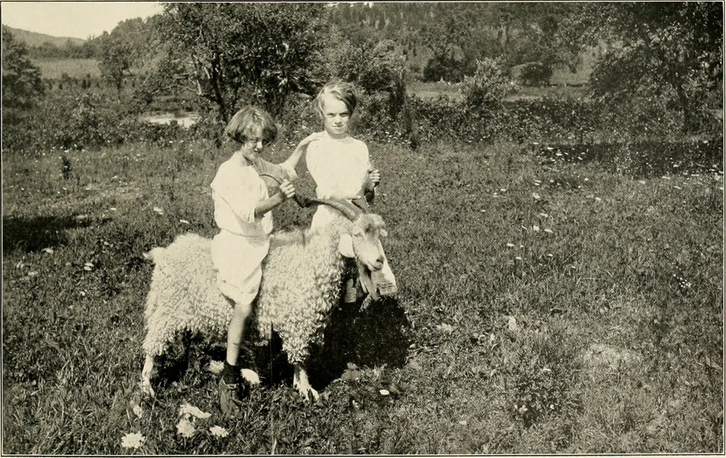 An illustration from Beautiful homes of Morris County and northern New Jersey : containing photographic reproductions ... with a brief description from colonial days to the present time, 1900, leaf 116