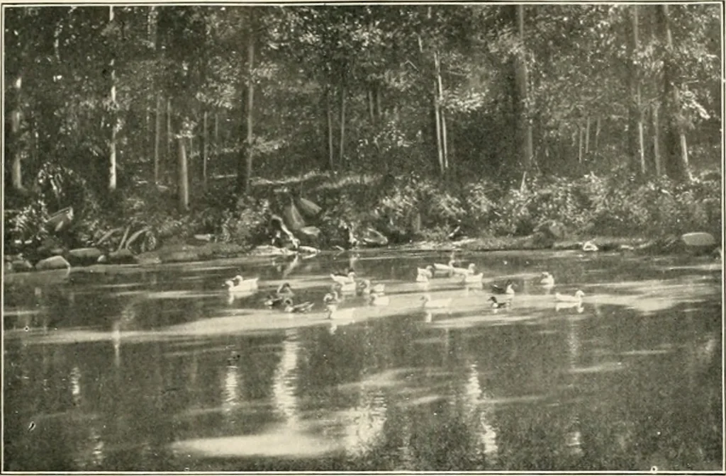 An illustration from Beautiful homes of Morris County and northern New Jersey : containing photographic reproductions ... with a brief description from colonial days to the present time, 1900, leaf 16