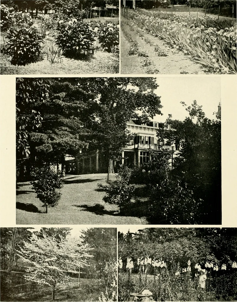 An illustration from Beautiful homes of Morris County and northern New Jersey : containing photographic reproductions ... with a brief description from colonial days to the present time, 1900, leaf 33