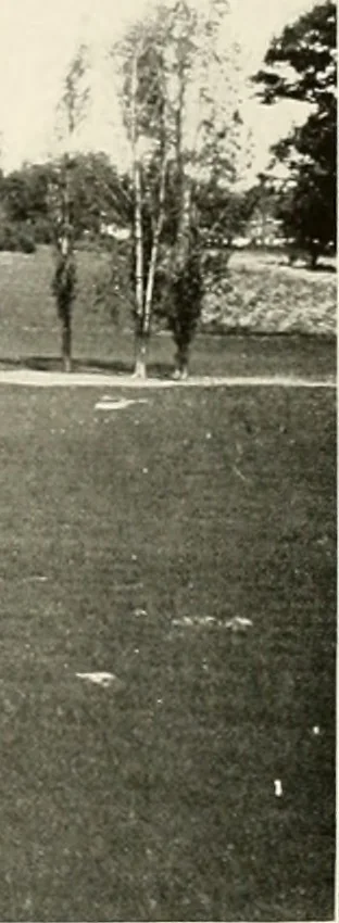 An illustration from Beautiful homes of Morris County and northern New Jersey : containing photographic reproductions ... with a brief description from colonial days to the present time, 1900, leaf 44