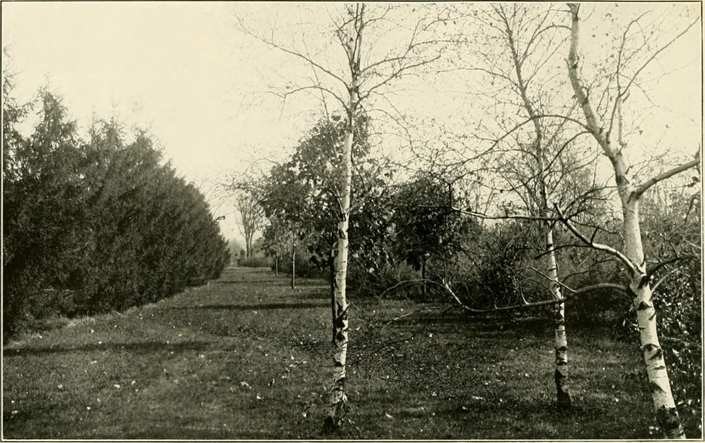 An illustration from Beautiful homes of Morris County and northern New Jersey : containing photographic reproductions ... with a brief description from colonial days to the present time, 1900, leaf 57