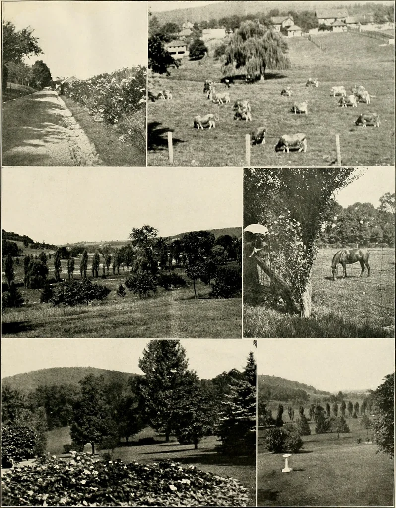 An illustration from Beautiful homes of Morris County and northern New Jersey : containing photographic reproductions ... with a brief description from colonial days to the present time, 1900, leaf 76