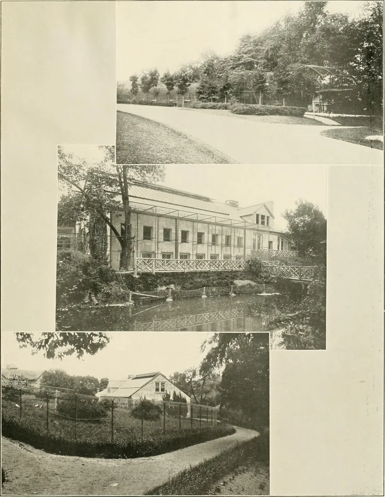 An illustration from Beautiful homes of Morris County and northern New Jersey : containing photographic reproductions ... with a brief description from colonial days to the present time, 1900, leaf 86