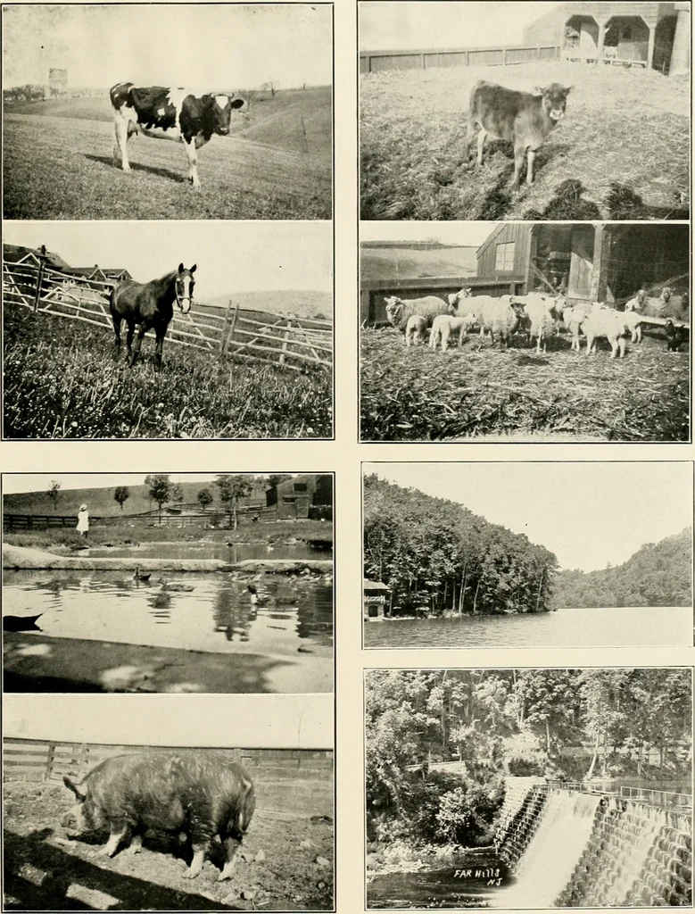 An illustration from Beautiful homes of Morris County and northern New Jersey : containing photographic reproductions ... with a brief description from colonial days to the present time, 1900, leaf 96