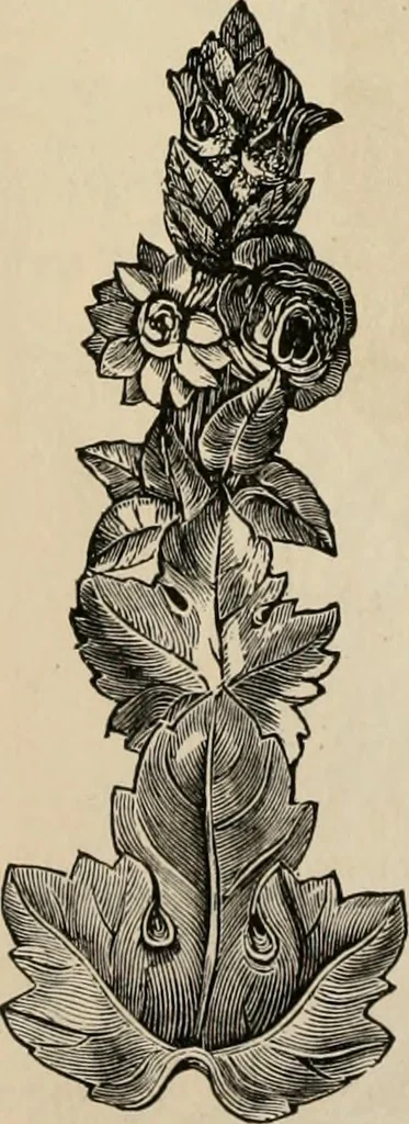 An illustration from Beautiful homes. Or, Hints in house furnishing, 1878, leaf 127