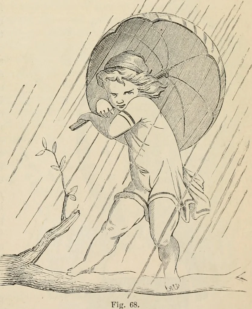 An illustration from Beautiful homes. Or, Hints in house furnishing, 1878, leaf 134